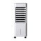 Răcitor de Aer 50W, Rezervor 4.8L, 3 Viteze, 2 Acumulatoare de Gheață, Filtru Lavabil, 70 cm, Alb/Gri