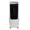 Răcitor de Aer 110W, Rezervor 20L, 4 Viteze, Telecomandă, Timer 8 Ore, Filtru Lavabil, Alb/Negru