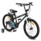 Bicicleta copii 6-10 ani Byox Master Onyx 20 inch, roti ajutatoare, frane V brake, cadru otel, jante aluminiu