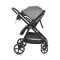 Cărucior copii Moni Tokyo Grey 2 în 1, 0–4 ani, reversibil, aluminiu, accesorii incluse, 22 kg