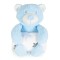 Set Pătură Bebe Cangaroo Rory Bear blue 75x90 cm cu Ursuleț de Pluș – Moale și Călduroasă, din Poliester Delicat, 0+ luni