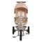 Tricicletă cu Control Parental Byox Fusion Lux Beige, Scaun Rotativ 360°, 5 Luni – 5 Ani