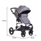 Cărucior 2 în 1 pentru Bebeluși Moni Gala Dark Grey – Landou Transformabil, Spătar Reglabil, Cadru Aluminiu, 0–36 Luni Cărucior 2 în 1 pentru Bebeluși Moni Gala Dark Grey – Landou Transformabil, Spătar Reglabil, Cadru Aluminiu, 0–36 Luni