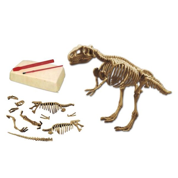 Jucarie set descoperire Fosile de dinozaur