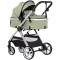 Carucior Chipolino Vista 2 in 1 basil