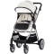 Carucior Chipolino Vista 2 in 1 biscotta