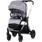 Carucior Chipolino Euphoria 3 in 1 platinum