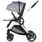 Carucior Chipolino Euphoria 3 in 1 platinum