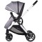 Carucior Chipolino Euphoria 3 in 1 platinum