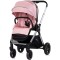 Carucior Chipolino Euphoria 3 in 1 powder pink