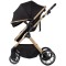 Cărucior 2 in 1 Chipolino Pearl, 0-4 ani, 22 kg, landou transformabil, parte sport reversibila, pliabil, culoare noir