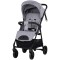 Carucior sport Chipolino Blossom platinum