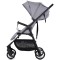 Carucior sport Chipolino Blossom platinum