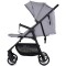 Carucior sport Chipolino Blossom platinum