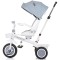 Tricicleta Chipolino Marathon ash grey