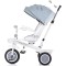Tricicleta Chipolino Marathon ash grey