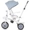 Tricicleta Chipolino Marathon ash grey