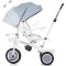 Tricicleta Chipolino Marathon ash grey