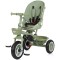Tricicleta Chipolino Marathon pastel green
