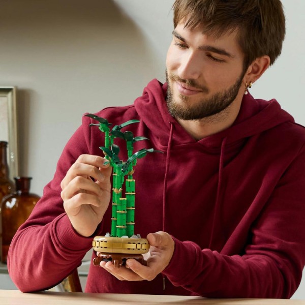 Set constructie LEGO Botanicals Bambus Norocos 10344 planta decorativa 325 piese cadou adulti + 18 ani